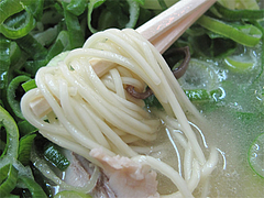料理:ラーメンのカタ麺@ラーメン住吉亭