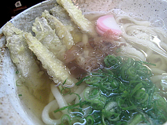 ランチ:ごぼう天うどんアップ@さぬきうどん大木戸・福岡舞鶴店