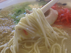 料理:ラーメン麺カタ@博多ラーメンはかたや・箱崎店
