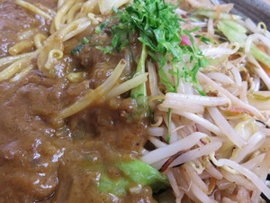 14カレーちゃんぽん合がけ@元気堂