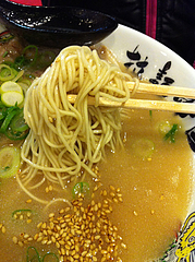 9ランチ:とんこつラーメン麺@拉麺帝国本店・サンセルコ・ラーメン