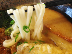 8よくばりうどん麺@かつみ屋