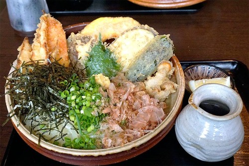 野菜天ぶっかけ