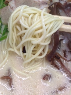 �����ڹ��顼����͡���¿ŷ��������