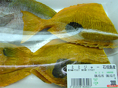 熱帯魚パック。