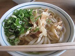 ごぼう天500円@かろのうろん