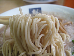 料理:ラーメン麺@ラーメン魁龍(かいりゅう)博多本店
