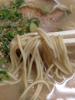 7細麺@一楽ラーメン