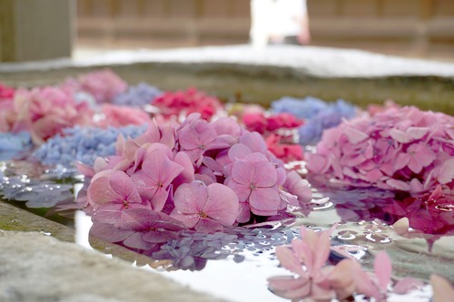 ��������6