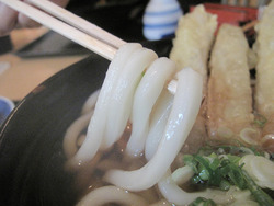 10ふっくら博多うどん@うどんそば大徳屋