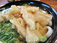 ランチ:ごぼう天うどん@うどん平・博多駅
