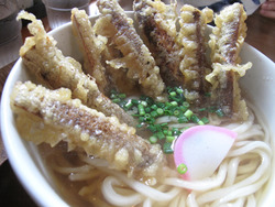 9土ごぼう天うどん@ごりあん