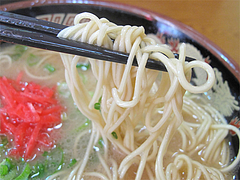 料理:ラーメン麺@長浜ラーメン・みっちゃん