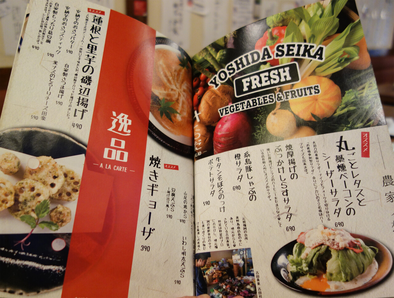 博多おんな節 福岡 西新駅前 カツオの藁焼きが美味しい 炙り炉端 山尾 西新店