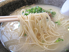9ランチ:牛骨ラーメン塩@オレズマガラズ・須崎店