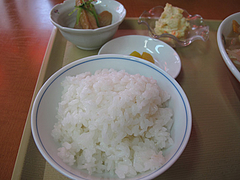14ランチ:白ご飯と小鉢@不二家食堂・大手門