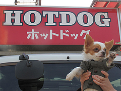 外観:ホットドッグ@ドッグカフェレストラン・ワンパーク大濠店