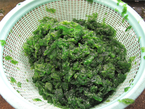 博多おんな節 川茸 かわたけ の遠藤金川堂