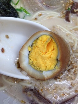 �����Ѷ̻ҡ���¿ŷ��������