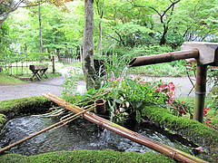 外観:中庭のつくばい@鍵屋・亀の井別荘・湯布院