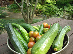 夏野菜