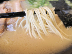11ラーメン麺@ラーメン博多きらら