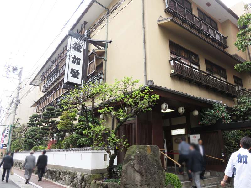 博多おんな節 福岡 大きな生簀を囲むカウンターで和食ランチ 博多料亭 稚加榮