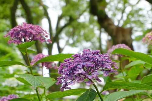 ��������2