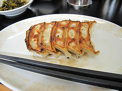 料理:【平日限定】餃子+100円@昇龍ラーメン博多本店・箱崎