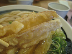 8ごぼ天@博多綱場うどん・しん田