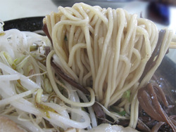 7ラーメン麺@元祖好来(ハオライ)ラーメン