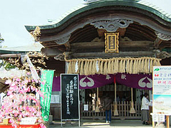 愛宕神社の愛宕桜祭り