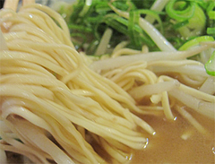 料理:もやしラーメンの平麺@元祖赤のれん節ちゃんラーメン野間店