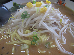 ランチ:みそらーめんもやし@北海道ラーメン・北の恵み・福岡空港