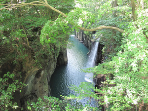 2¹âÀéÊæ¶®