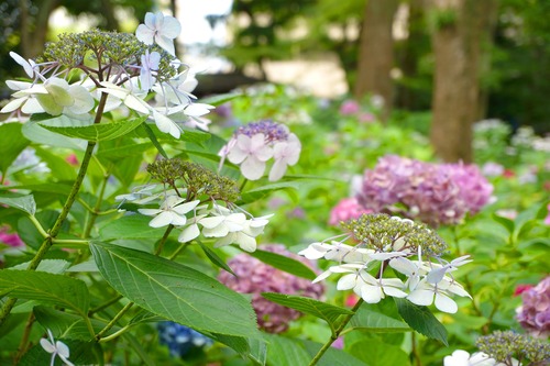 ��������3