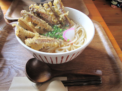 8土ごぼう天うどん550円@ごりあん