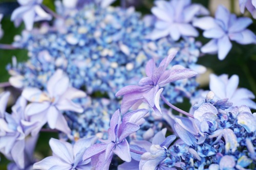 ��������1