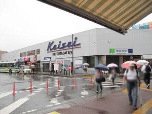 24勝田台駅@葉菜