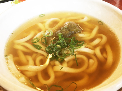 16かけうどん