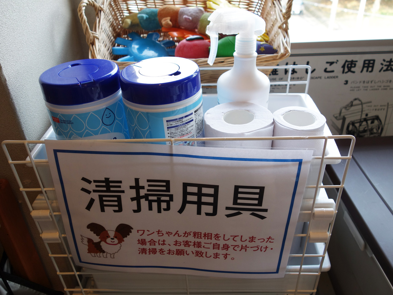博多おんな節 福岡 大濠公園そばの室内ドッグラン付き飲放カフェ ワンパーク大濠店 博多おんな節 福岡 大濠公園そばの室内ドッグラン付き飲放カフェ ワンパーク大濠店