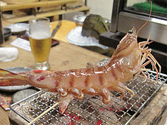 7居酒屋:海老の塩焼き@海鮮居酒屋ふじけん・大名・天神・西通り