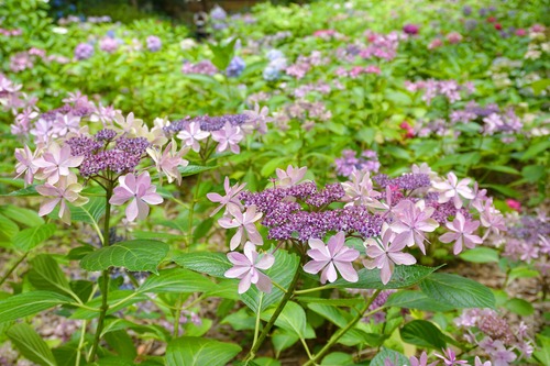 ��������4