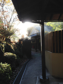 27朝@旅館・四つ葉