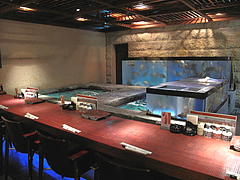 店内:生簀カウンター席@雑魚屋・天神福岡店