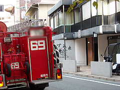 すみれ3