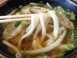 9うどん@やお八