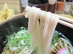 料理:うどん麺@うどん菊河