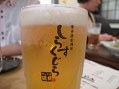 5居酒屋:生ビール@博多漁家磯貝・しらすくじら・天神店