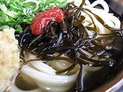 料理:うめこんぶ(冷)アップ@讃岐うどん大使・福岡麺通団